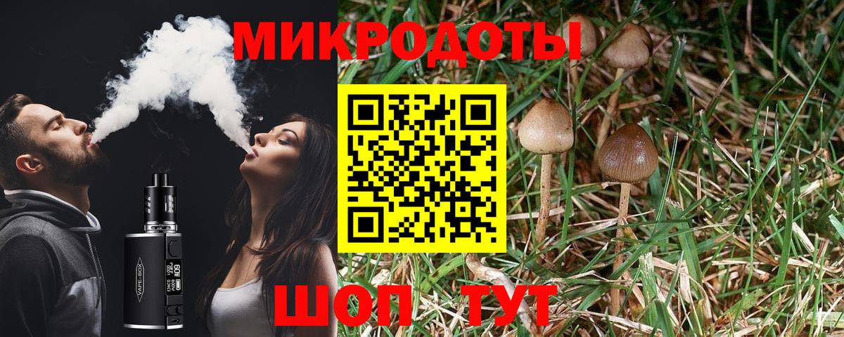 Псилоцибиновые грибы Magic Shrooms Киров